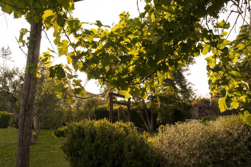 Podere Turicchio Орбетелло Екстер'єр фото